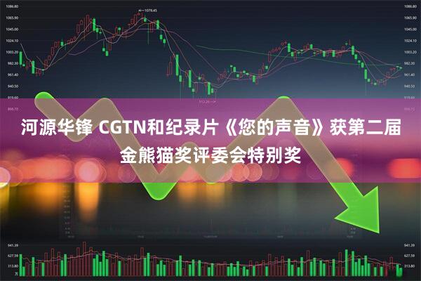 河源华锋 CGTN和纪录片《您的声音》获第二届金熊猫奖评委会特别奖