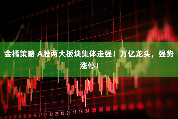 金橘策略 A股两大板块集体走强！万亿龙头，强势涨停！