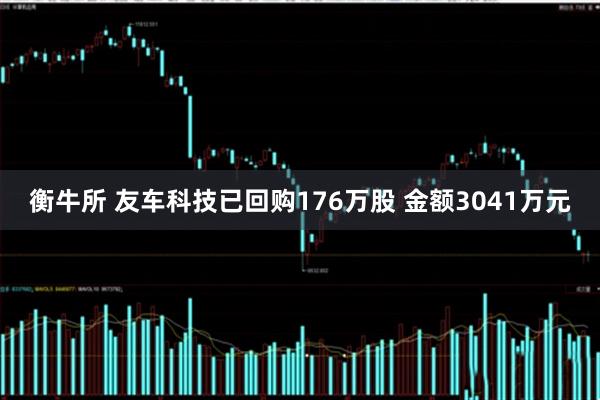 衡牛所 友车科技已回购176万股 金额3041万元