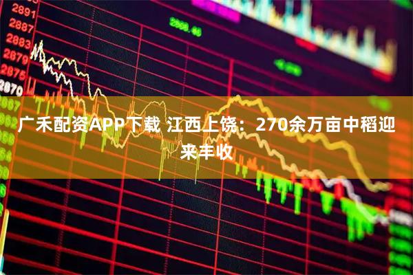 广禾配资APP下载 江西上饶：270余万亩中稻迎来丰收